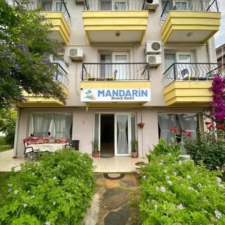 Mandarin Gumuldur